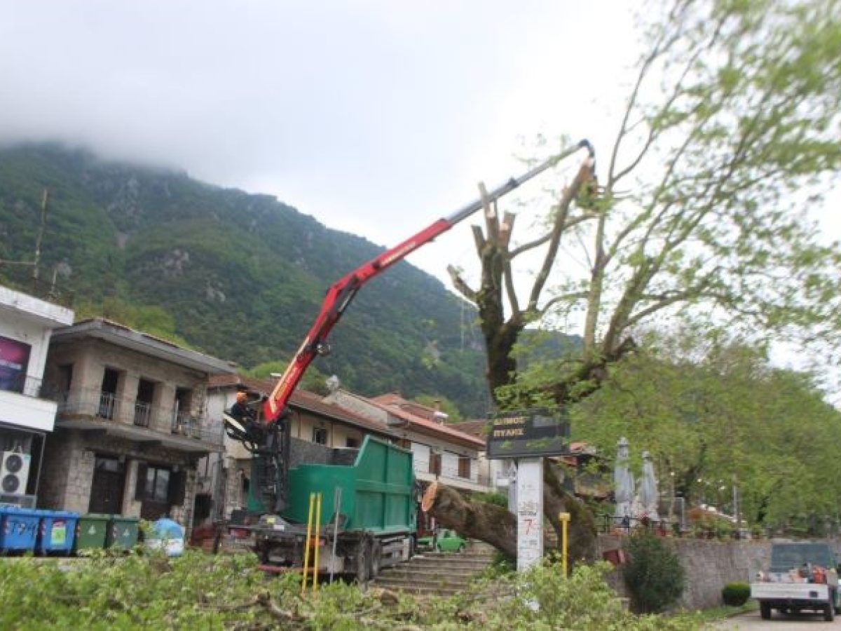 Δήμος Πύλης: Στοχευμένες παρεμβάσεις για την προστασία των πλατάνων και του φυσικού περιβάλλοντος