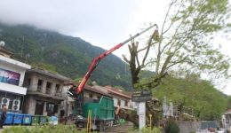 dimos-pilis-stochevmenes-paremvasis-gia