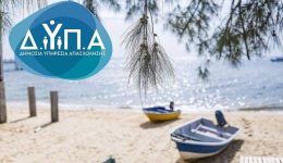 dip&Alpha;-xekinoun-i-etisis-gia