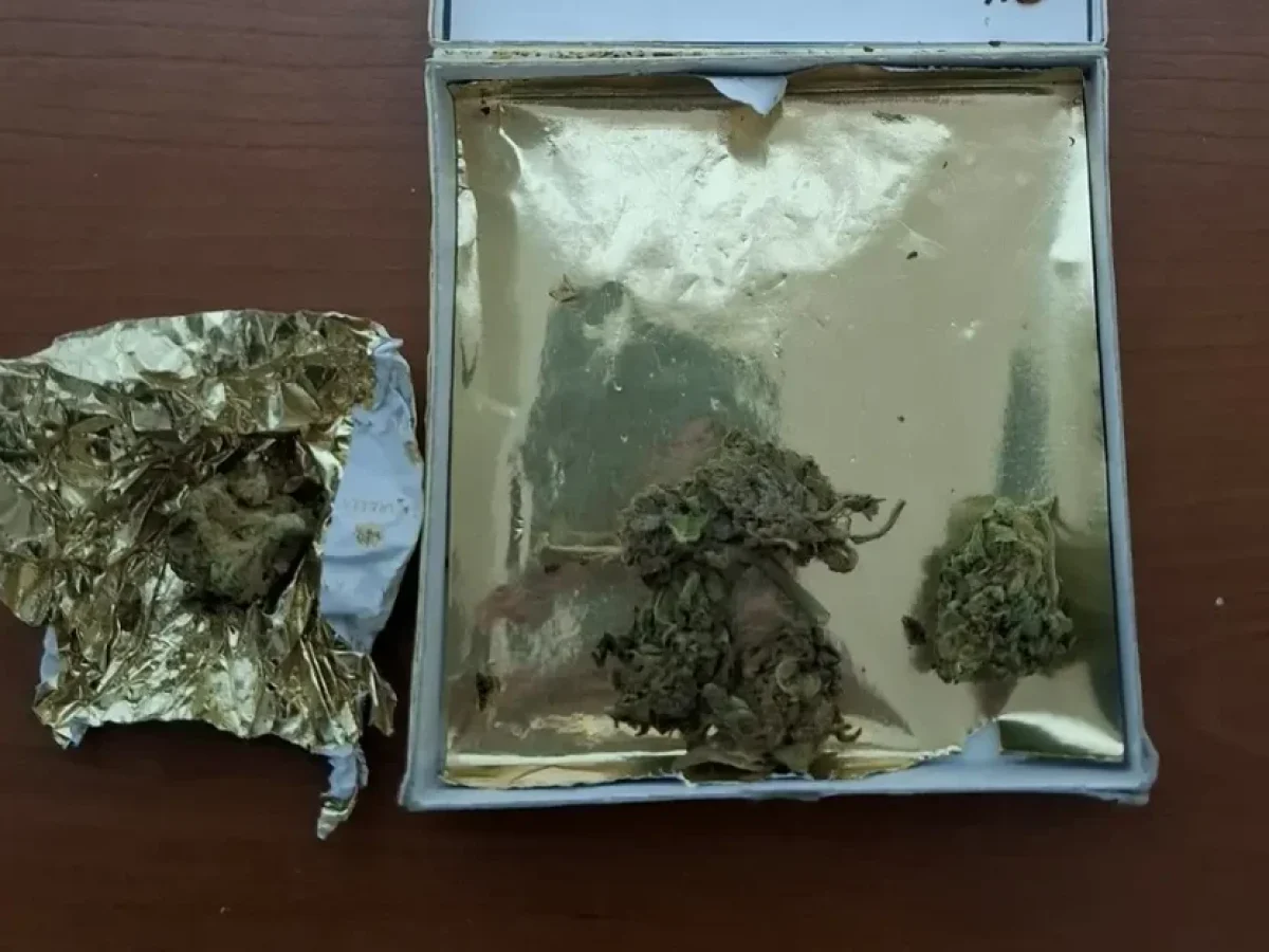 Δυτική Μακεδονία: Μελέτη για τον ιό CDV στις εκτροφές μινκ