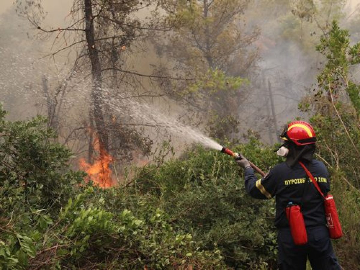 Δυτική Αχαΐα: Ενημέρωση για την αντιπυρική περίοδο – Τί πρέπει να κάνετε και από πότε