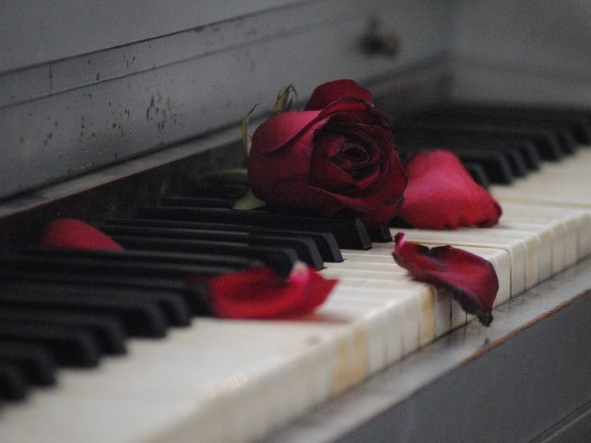 Μπετόβεν και Σούμπερτ | Ζαφειροπούλου & Χριστοδούλου στο Μέγαρο Μουσικής