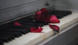 divmpetoven-ke-soumpert-zafiropoulou