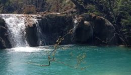 divparadisia-&ndash;-&Alpha;gia-triada-&ndash;