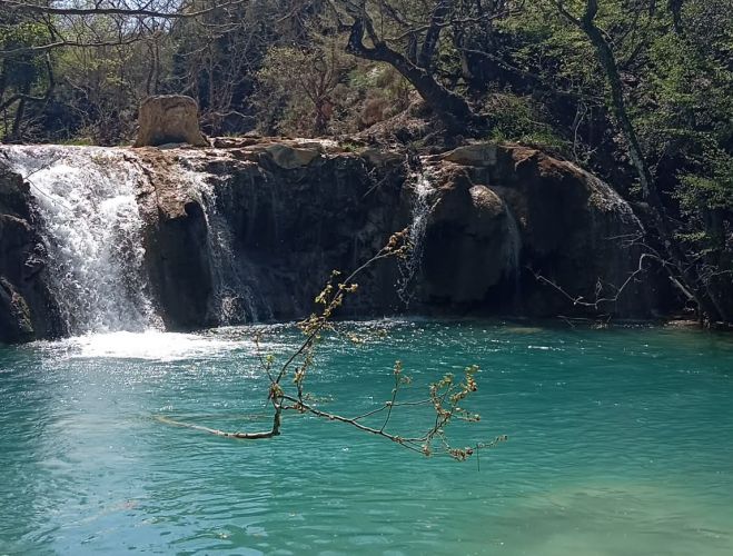 divparadisia-–-Αgia-triada-–