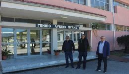 divpili-oloklirothike-i-riziki-anavathmisi