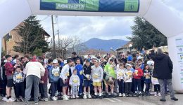 divrekor-simmetochon-ke-thesmos-pleon