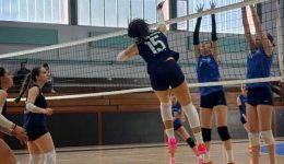 divtria-sta-tria-gia-ta