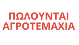 domokos-polounte-dio-Αgrotemachia-116-1