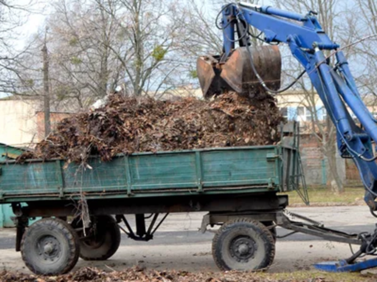 Δωρεάν η αποκομιδή κλαδιών από τον Δήμο Αλεξανδρούπολης