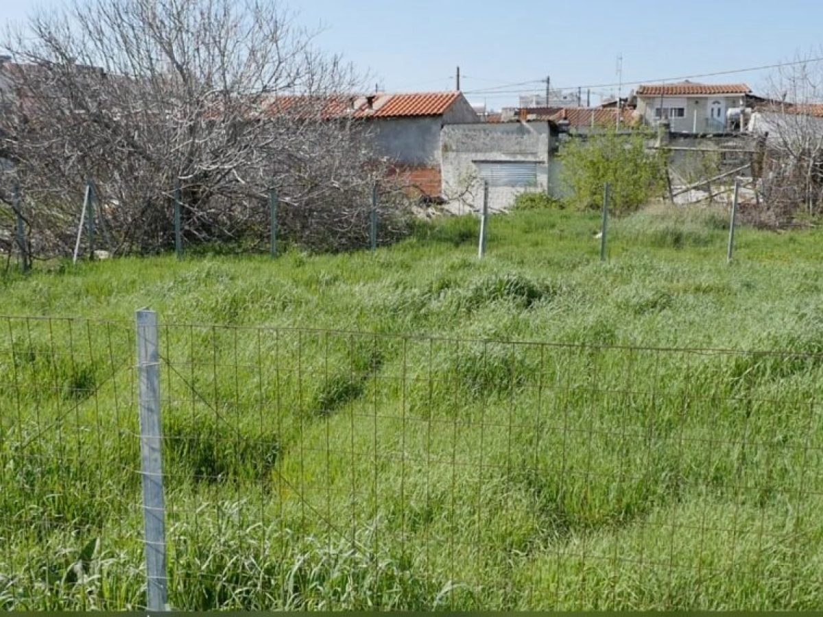 &Delta;&omega;&rho;&epsilon;ά&nu;&nbsp;&eta;&nbsp;&alpha;&pi;&omicron;&kappa;&omicron;&mu;&iota;&delta;ή&nbsp;&kappa;&lambda;&alpha;&delta;&iota;ώ&nu;&nbsp;&alpha;&pi;ό &tau;&omicron;&nu; &Delta;ή&mu;&omicron; &Alpha;&lambda;&epsilon;&xi;&alpha;&nu;&delta;&rho;&omicron;ύ&pi;&omicron;&lambda;&eta;&sigmaf;