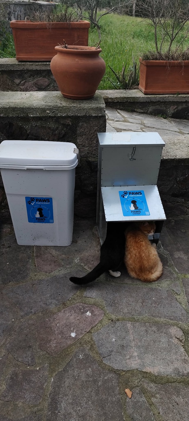 drasi-mazikon-stiroseon-adespoton-zoon