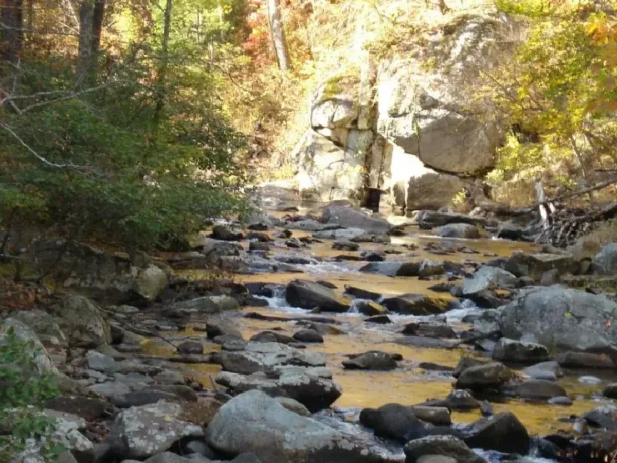 ΔΑΣΑΡΧΕΙΟ ΠΟΛΥΓΥΡΟΥ: ΤΟ «ΧΑΟΣ» ΤΩΝ ΧΑΜΕΝΩΝ ΦΑΚΕΛΩΝ ΚΑΙ Η ΑΘΩΩΣΗ ΛΟΓΩ… ΑΝΕΠΑΡΚΕΙΑΣ