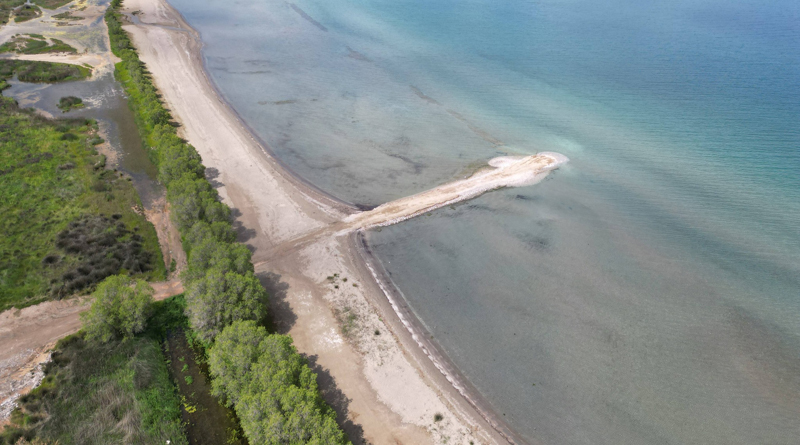 ede-gia-ta-baza-mesa