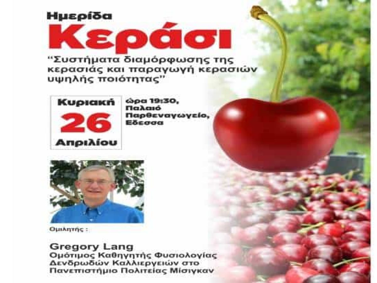 Έδεσσα: Ημερίδα για την καλλιέργεια του κερασιού