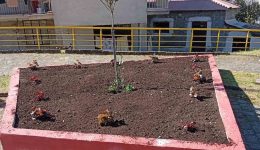 efcharistirio-pros-ton-dimarcho-k