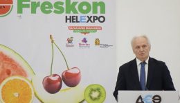 egkeniastike-i-10i-Freskon-sti