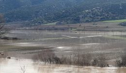 ektetamenes-zimies-ston-kampo-tis