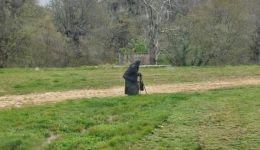 ellinika-i-ipiresies-tou-dimou