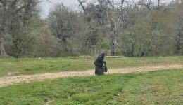 ellinika-mesolongiou-me-trakter-apegklovistike-1