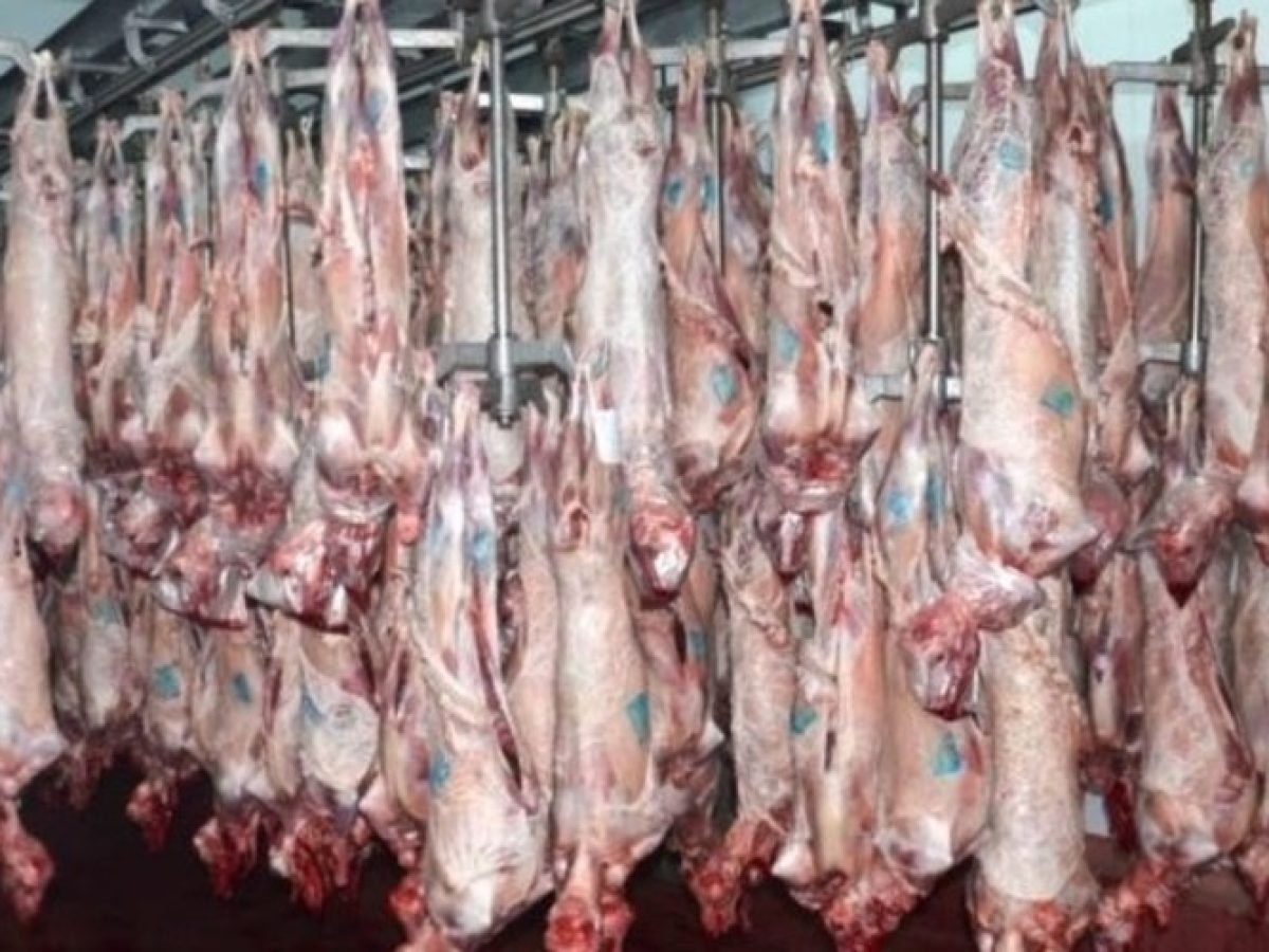 Ελλείψεις σε εντόσθια στον Έβρο ενόψει Πάσχα – Σε ποιες περιοχές επιτρέπεται και που απαγορεύεται