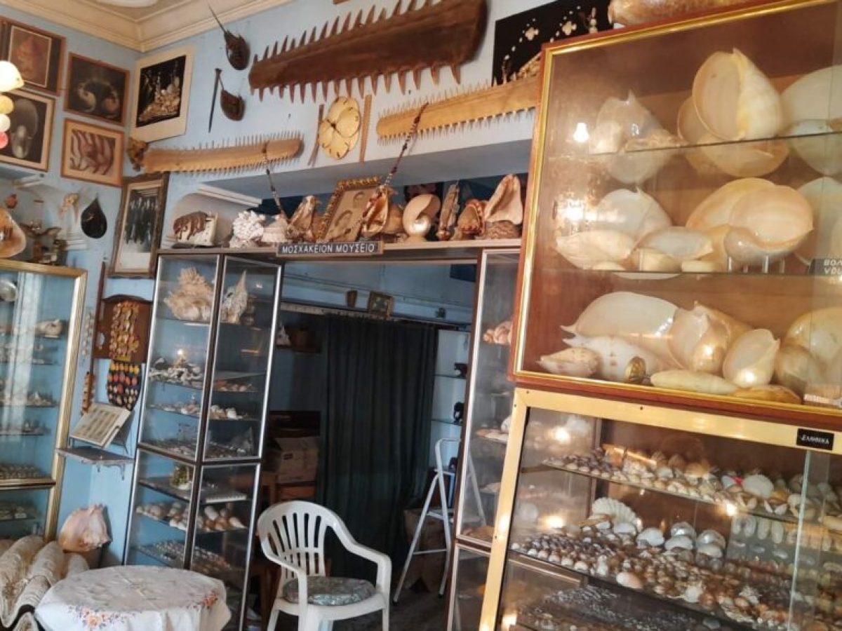 Ένα μουσείο της θάλασσας στη Βάρη