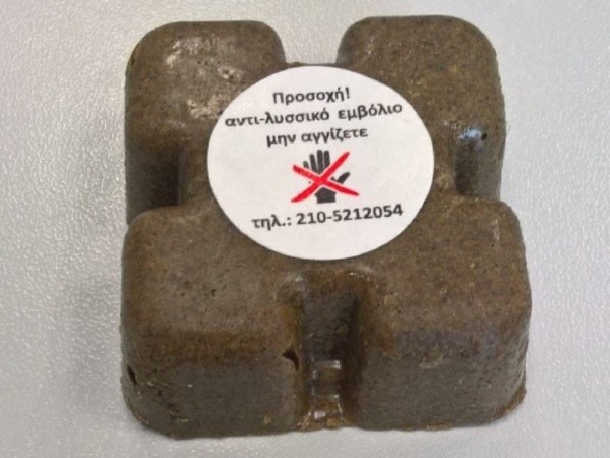 Εναέρια «ασπίδα» κατά της λύσσας στην ΑΜΘ  – Ξεκινά η ρίψη δολωμάτων – Οδηγίες από τη Διεύθυνση Κτηνιατρικής