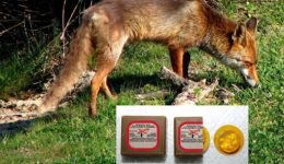 enarxi-tis-22is-emvoliastikis-ekstratias-1