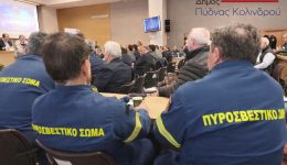 endoipiresiaki-Άskisi-politikis-prostasias-paleostani