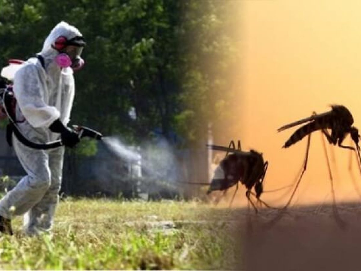 Ενημέρωση: Ψεκασμοί για τα κουνούπια στο Νότιο Τομέα Αθηνών της Περιφέρειας Αττικής