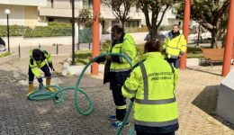 eniΑs-Άskisi-politikis-prostasias-stis