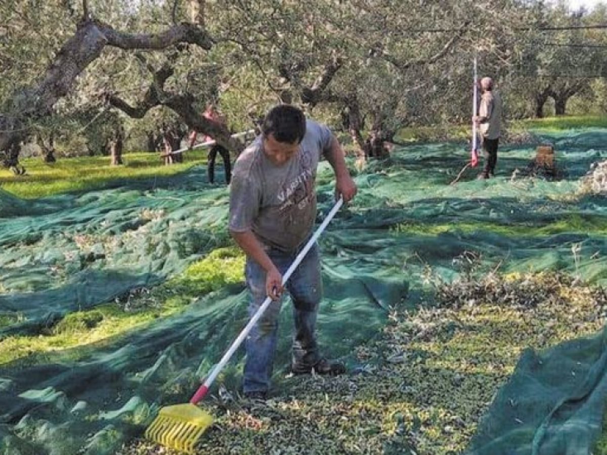 Έρχεται παράταση έως 30 Ιουνίου για την υποβολή αιτήσεων για εργάτες γης