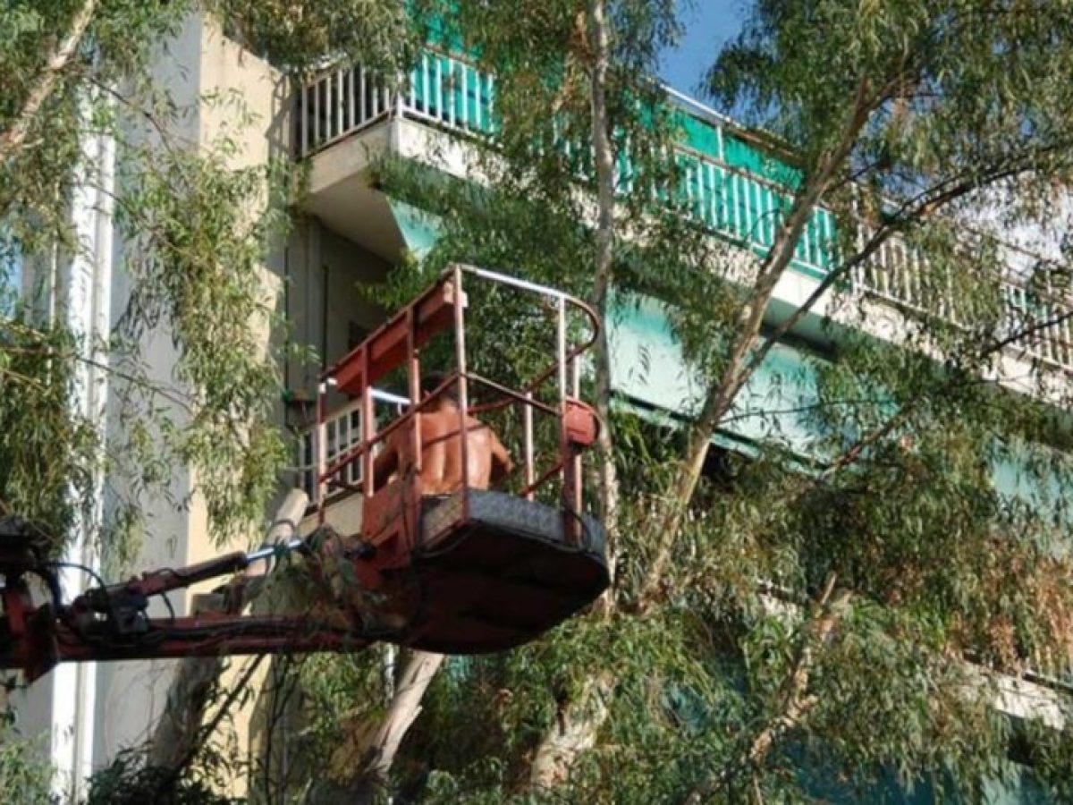 Εργασίες κλαδέματος την Πέμπτη σε περιοχές των Χανίων