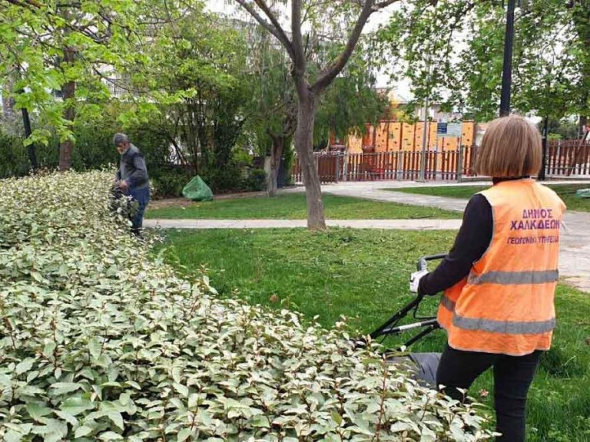 Εργασίες του Δήμου Χαλκιδέων στη Δ.Ε. Ανθηδόνας