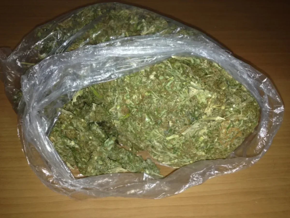 Αιτωλοακαρνανία: Δύο συλλήψεις για κάνναβη σε Αγρίνιο και Ναύπακτο μέσα σε λίγες ώρες