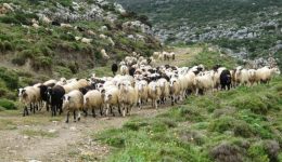 etoloakarnania-proti-se-krousmata-evlogias