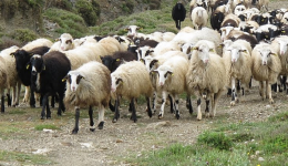 evlogia-nea-krousmata-se-etoloakarnania-1