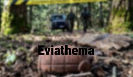 evritania-exoudeterothike-oxidomeni-chirovomvida-tou