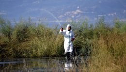 evros-se-didimoticho-ke-notio-1