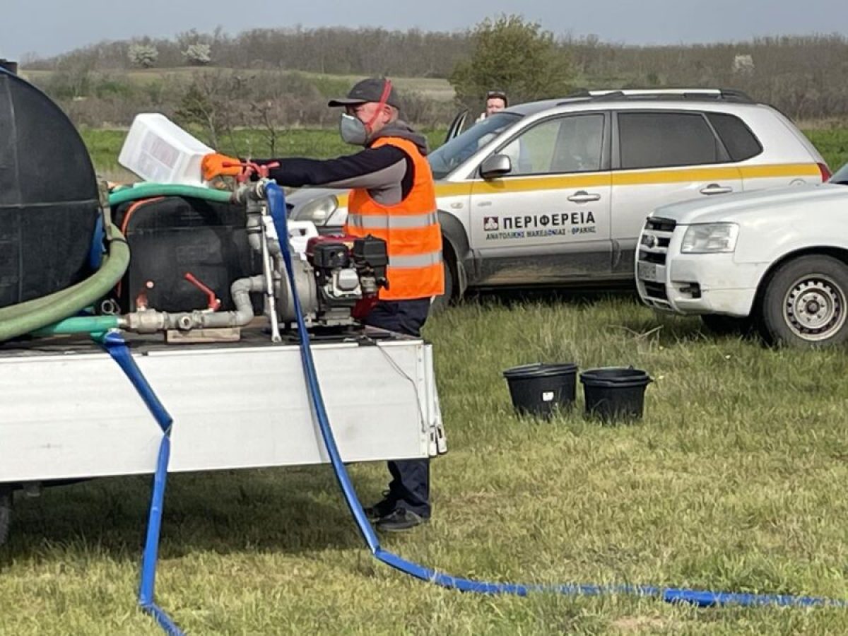 Έβρος: Σε Διδυμότειχο και νότιο τμήμα οι πρώτες εστίες προνυμφών