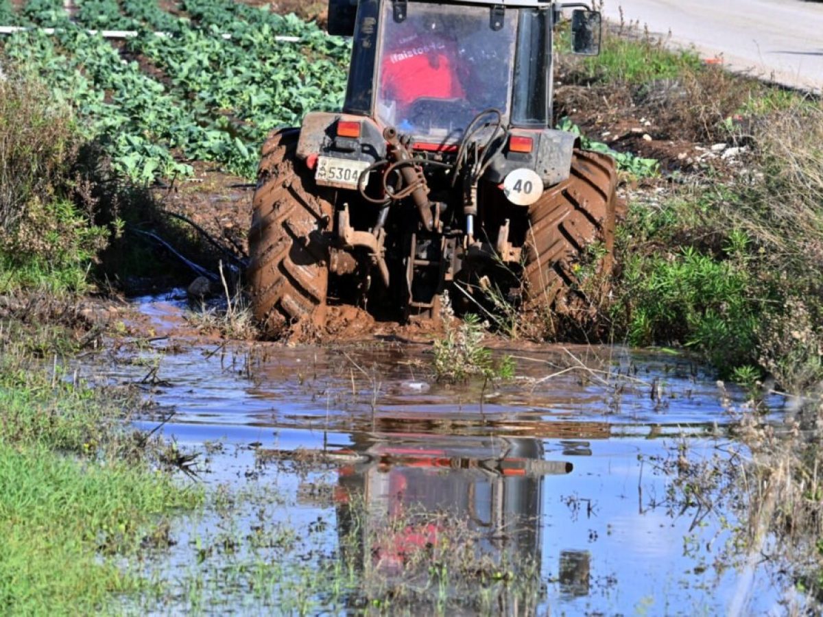 Έβρος: Σε τεντωμένο σχοινί ο πρωτογενής τομέας