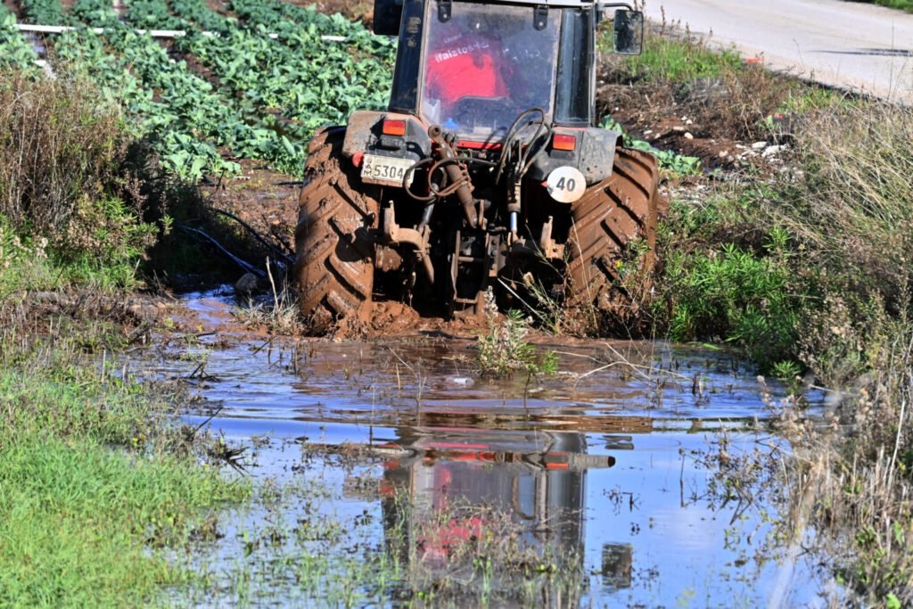 evros-se-tentomeno-schini-o-protogenis-tomeas