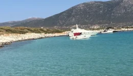 evvia-entopistike-soros-stin-paralia