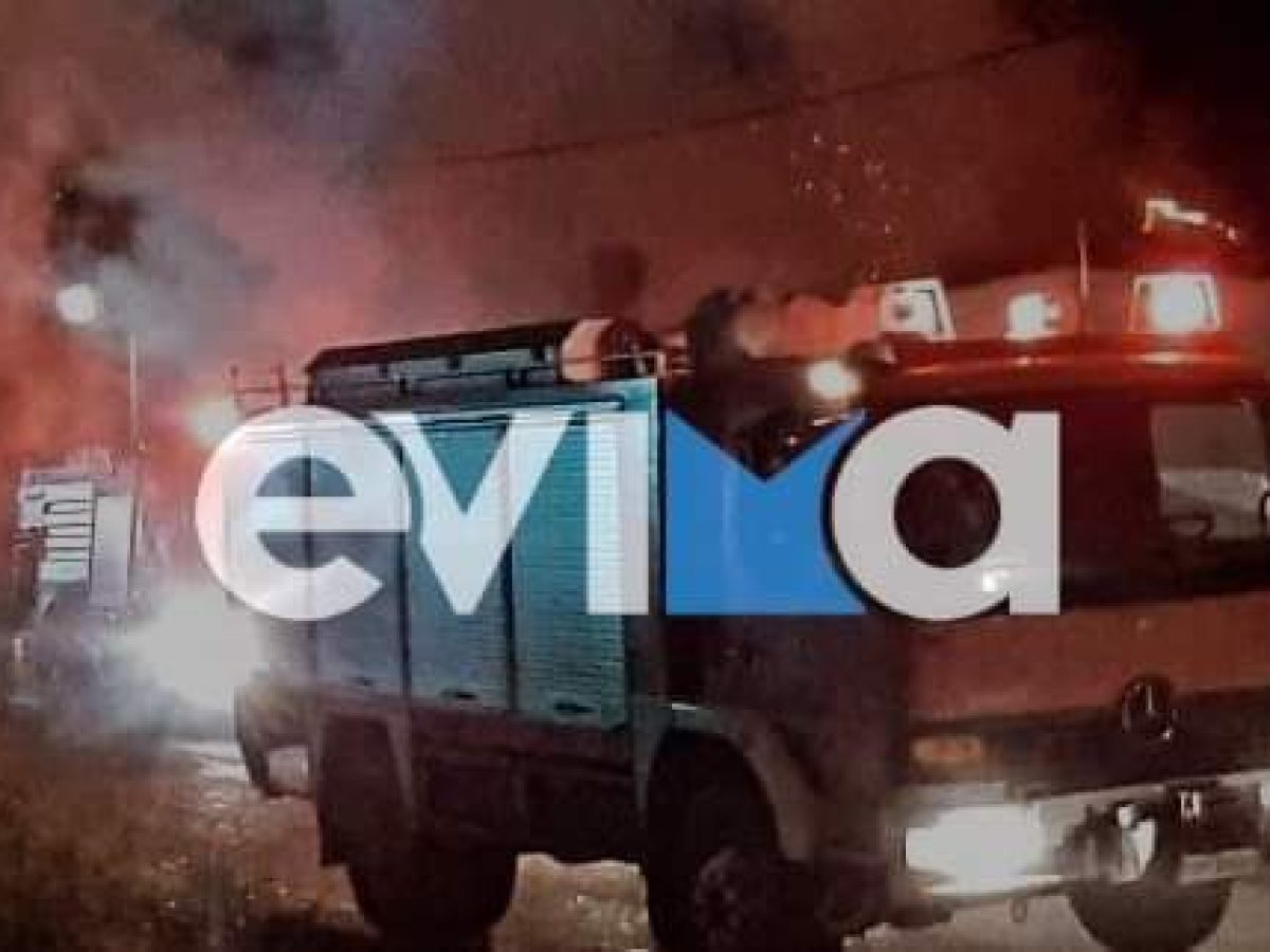 Εύβοια: Νέος συναγερμός στην Πυροσβεστική για φωτιά σε κάδο απορριμμάτων