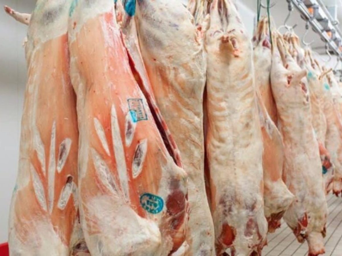 Εξαντλούνται με ταχείς ρυθμούς τα ντόπια αρνιά – Ελλείψεις στη Θεσσαλία