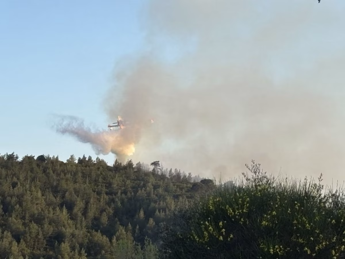 Φωτιά σε δασική έκταση στη Σκιάθο – Μεγάλη κινητοποίηση της πυροσβεστικής