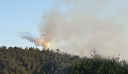 fotia-se-dasiki-ektasi-sti