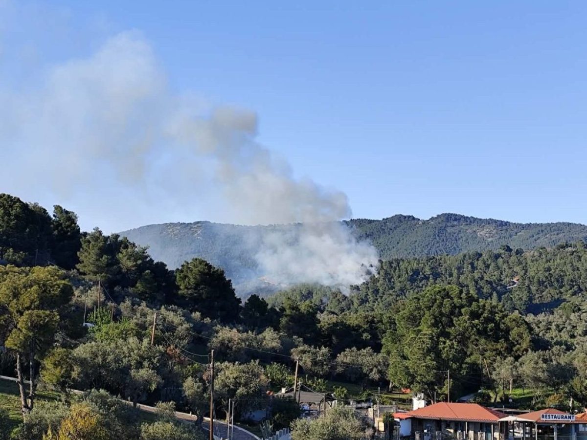 Φωτιά Σκιάθος: Υπό έλεγχο η πυρκαγιά