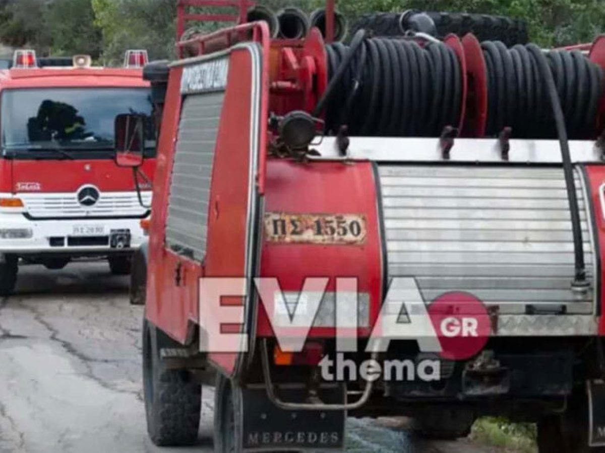 Φωτιά στο εργοτάξιο του Δήμου Διρφύων-Μεσσαπίων στα Ψαχνά