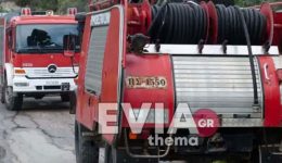 fotia-sto-ergotaxio-tou-dimou